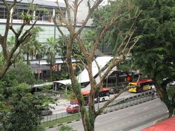 Blk 322 Ang Mo Kio 31 (Ang Mo Kio), HDB 3 Rooms #353184951